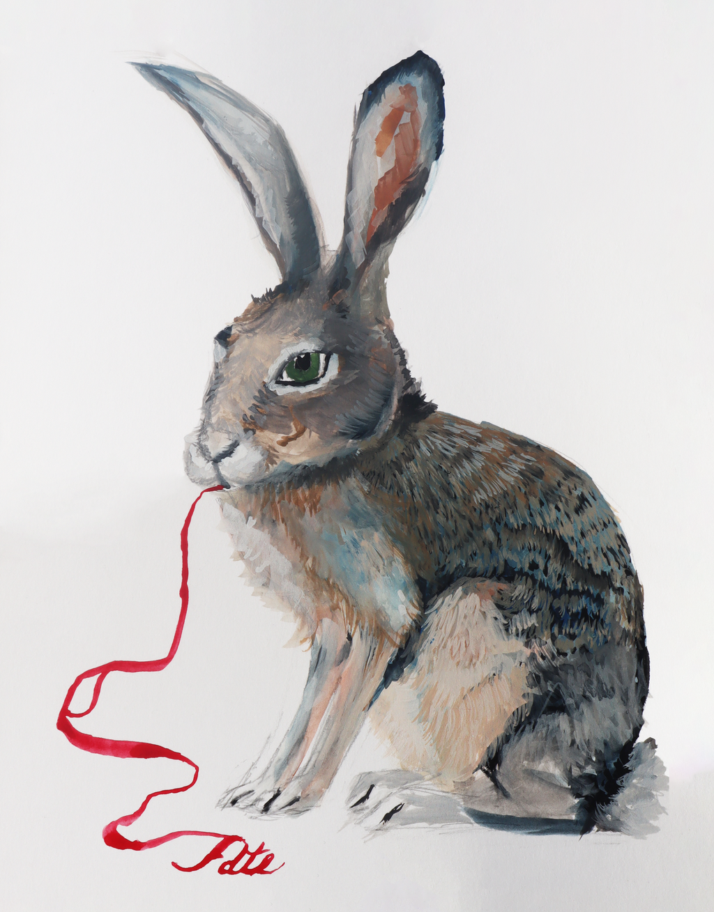 Rabbit of Fate 5x7 Photo Print